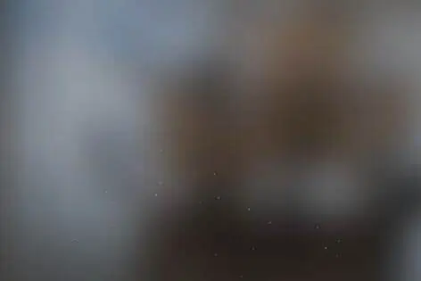 Квест-анимация «Золото пиратов» от Остров сокровищ